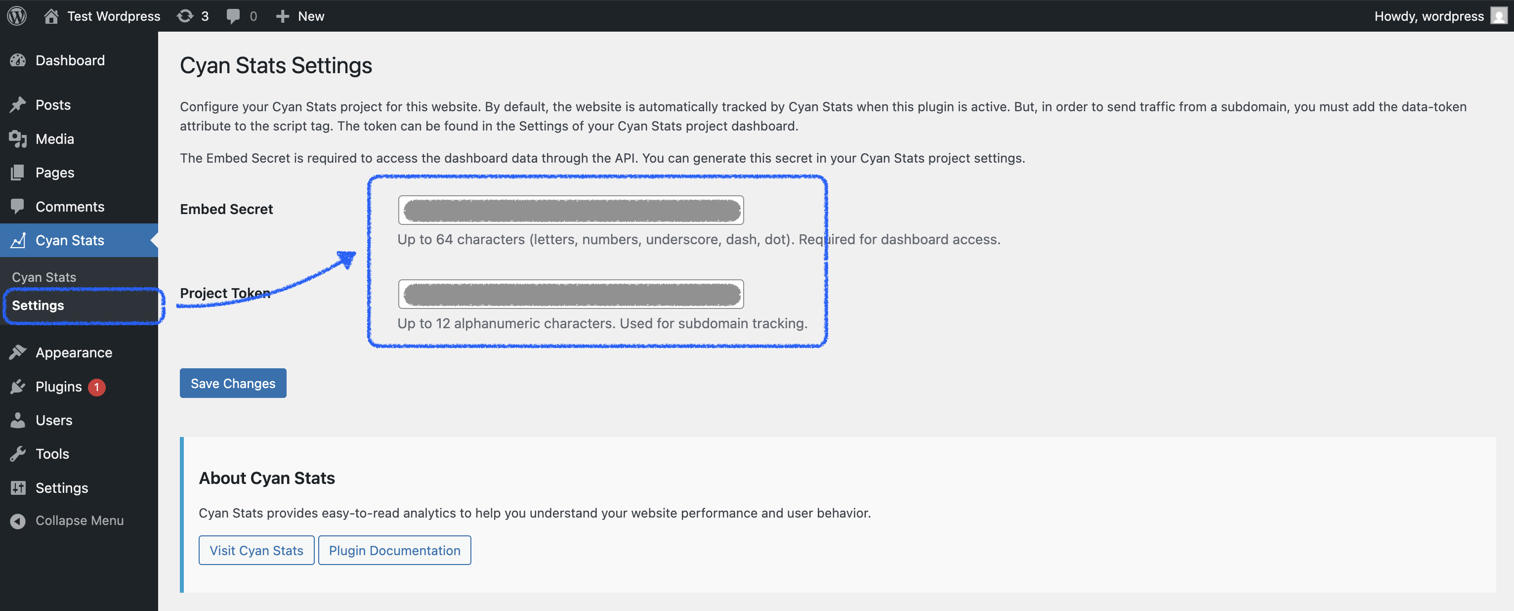 Setting the API keys in WordPress